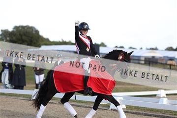 181894_mtp_05_R62_5788.JPG