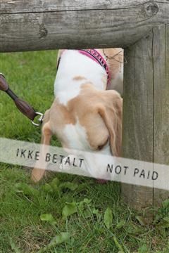 130370_tl_01_IMG_7094.JPG