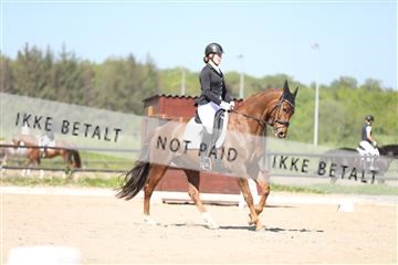 168732_mtp_01_3M5A8177.JPG