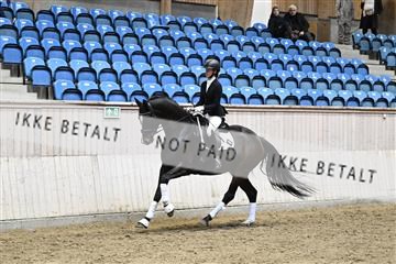 182241_kbb_01_Z095138.JPG