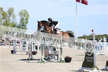 181436_avh_02_3920.JPG