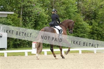139835_sg_01_IMG_7773.JPG