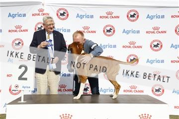 181848_kar_01__62_4489.JPG