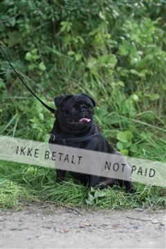 130370_se_01_IMG_5398.JPG