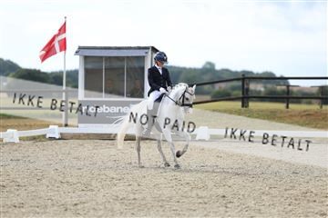 181894_mtp_05_R62_4409.JPG