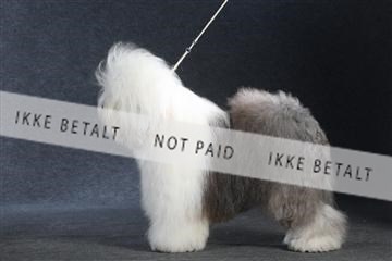 132082_le_ 01_IMG_1444.JPG