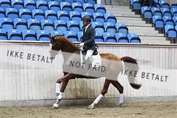182241_kbb_01_Z094205.JPG