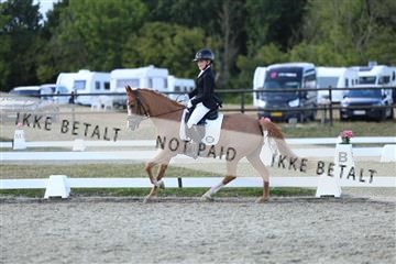 181894_mtp_05_R62_5097.JPG