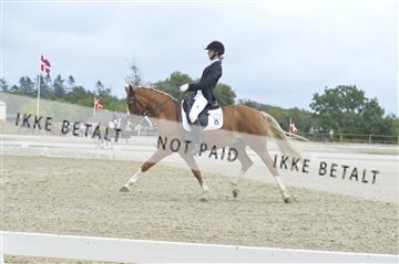 169624_kbb_01__KBB8353.JPG