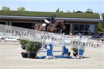 181436_avh_03_4368.JPG