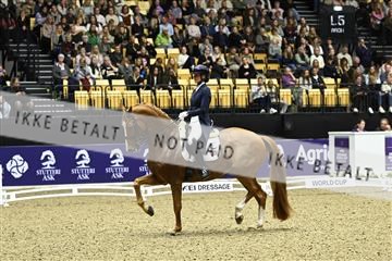 182194_kbb_03_Z091873.JPG