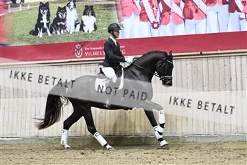 182241_kbb_01_Z094127.JPG