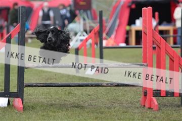 124188 _tl_02_IMG_9486.JPG