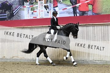 182241_kbb_01_Z094982.JPG