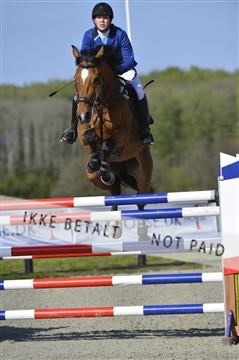 139644_abo_02__AB14609.JPG