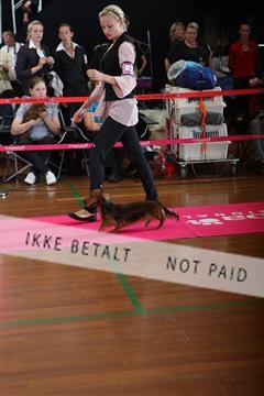 6068_ma_07_IMG_6821.JPG