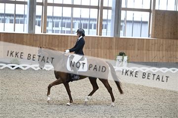 182176_kbb_01_Z093082.JPG