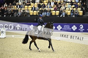 182194_kbb_02_Z099070.JPG