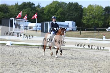 181894_mtp_05_R62_5305.JPG