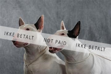 128239_le_kort_ 01_0293.JPG