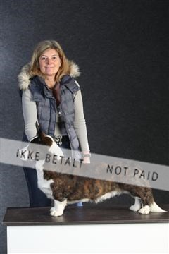 132082_le_ 01_IMG_0593.JPG