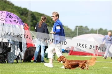 181564_rin_02_R62_1246.JPG