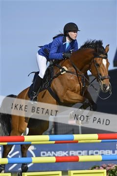 139644_abo_02__AB14606.JPG