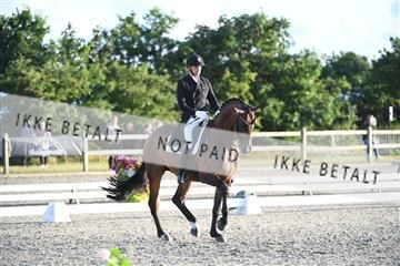 166078_kuo_01_D05_7280.JPG