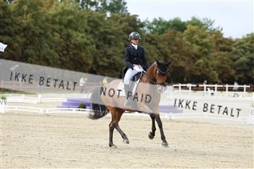 181923_mtp_03_R62_7264.JPG