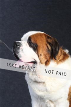 132082_le_ 01_IMG_0083.JPG