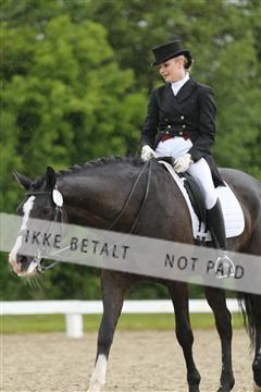 139835_sg_02_IMG_8626.JPG