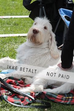 124188 _tl_02_IMG_9493.JPG