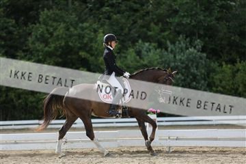 156196_nn_01_IMG_6523.JPG