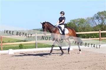 181449_bc_01R62_6226.JPG