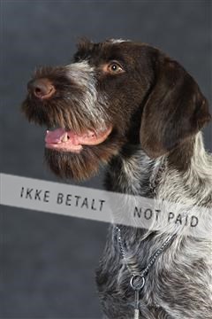 132082_le_ 01_IMG_0494.JPG