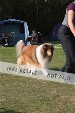 6068_ma_06_IMG_3507.JPG