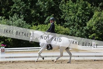156196_nn_01_IMG_6032.JPG