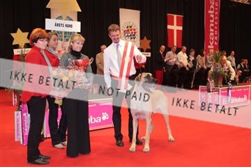 126827_tl_04_IMG_0194.JPG