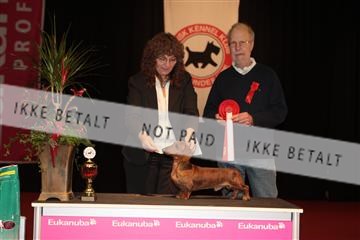 126827_tl_02_IMG_3042.JPG