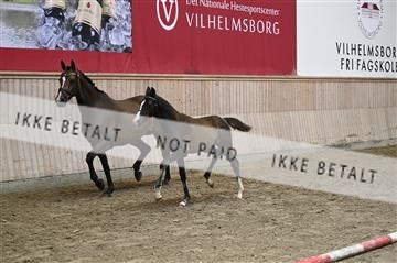 181754_kbb_01_Z094106.JPG