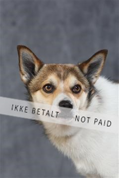 130054_le_ 03_0209.JPG