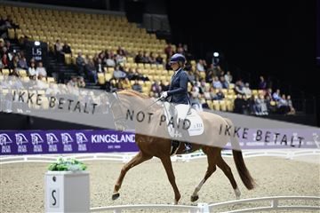 182194_mlm_02_R62_0997.JPG