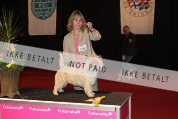 126827_tl_02_IMG_2878.JPG