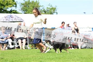 181564_rin_02_R62_3118.JPG