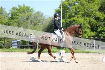 168732_mtp_01_3M5A8183.JPG