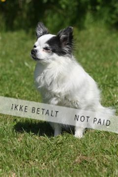130370_se_03_IMG_7110.JPG