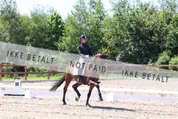 181449_bc_01R62_5521.JPG
