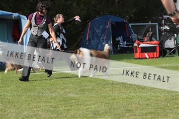6068_ma_06_IMG_3506.JPG