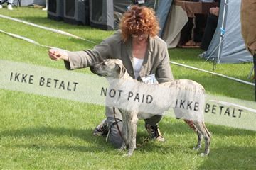 130370_tl_02_IMG_7743.JPG