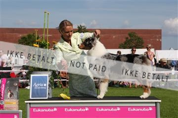 130370_se_03_IMG_7772.JPG
